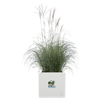 vivo next square 40cm blanc